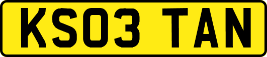 KS03TAN
