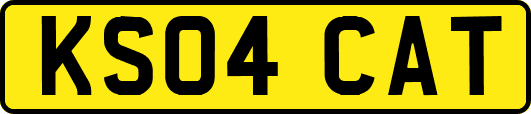 KS04CAT