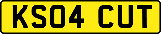 KS04CUT