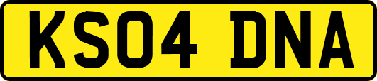 KS04DNA