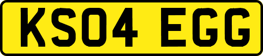 KS04EGG