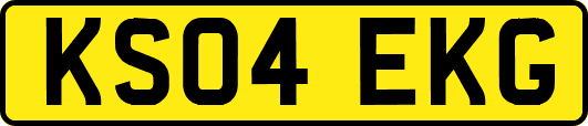 KS04EKG