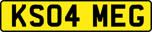 KS04MEG