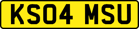 KS04MSU