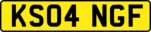 KS04NGF