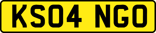 KS04NGO