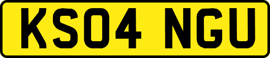 KS04NGU