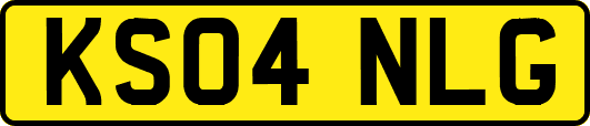 KS04NLG