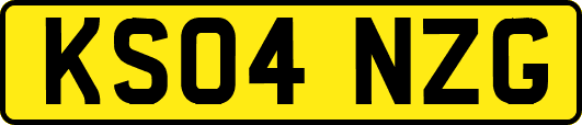 KS04NZG