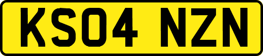 KS04NZN