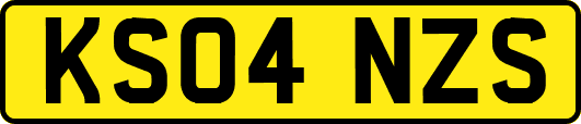 KS04NZS
