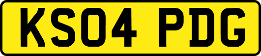 KS04PDG