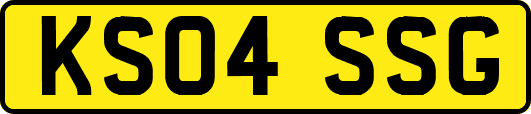 KS04SSG