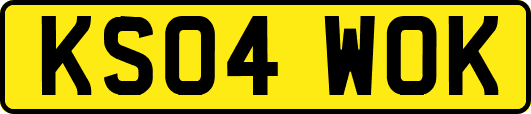 KS04WOK