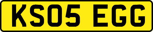 KS05EGG