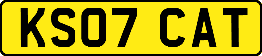 KS07CAT