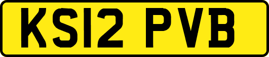 KS12PVB