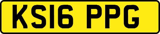 KS16PPG