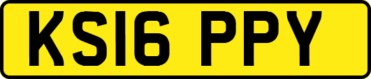 KS16PPY