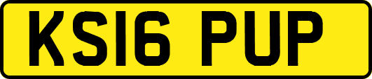 KS16PUP