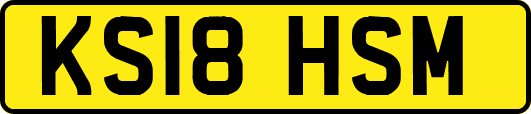 KS18HSM