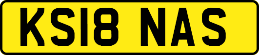 KS18NAS