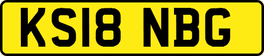 KS18NBG
