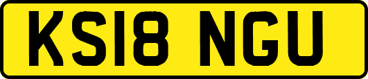 KS18NGU