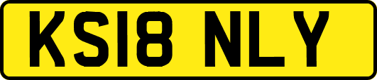 KS18NLY