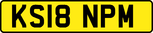 KS18NPM