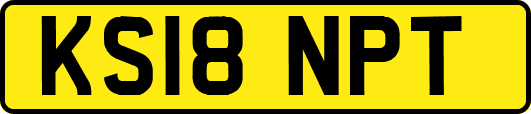 KS18NPT