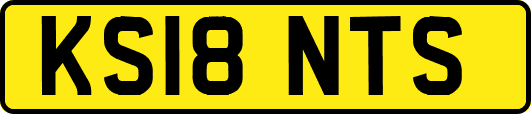 KS18NTS