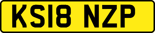 KS18NZP