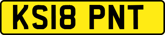 KS18PNT