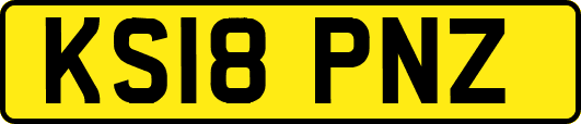 KS18PNZ