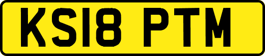 KS18PTM