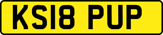 KS18PUP