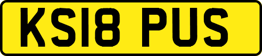 KS18PUS