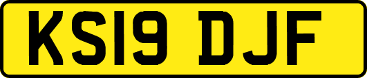 KS19DJF