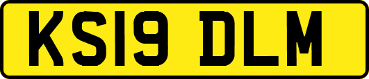 KS19DLM