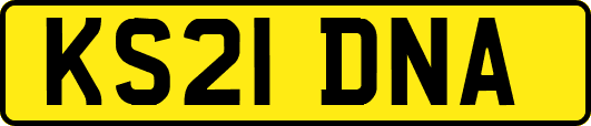 KS21DNA