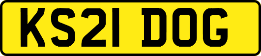 KS21DOG