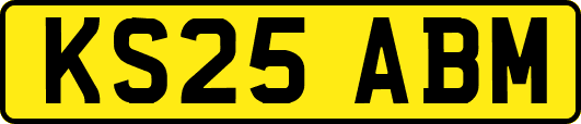 KS25ABM