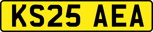 KS25AEA