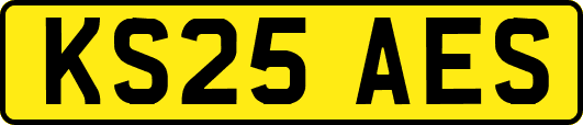 KS25AES