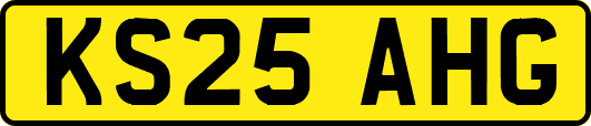 KS25AHG