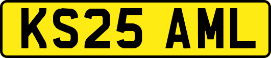 KS25AML