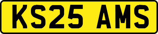 KS25AMS