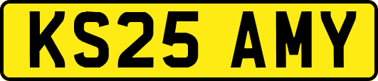 KS25AMY