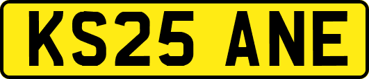 KS25ANE